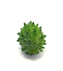 Image showing Kiwano or Horned Melon (Cucumis metuliferus)