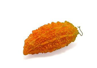 Image showing Momordica charantia (Bitter Melon)