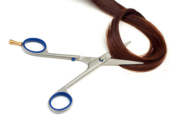 Image showing Hair and scissors