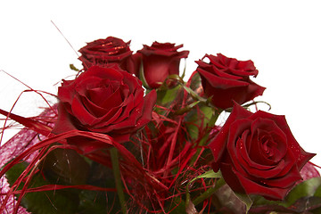 Image showing Red roses