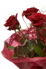 Image showing Red roses