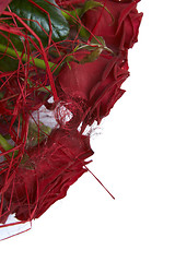 Image showing Red roses