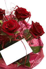 Image showing Red roses