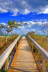 Image showing Walkway to the ocean