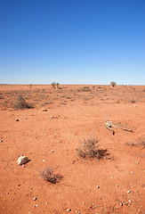 Image showing australian red desert