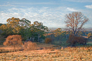 Image showing farmland in the morning