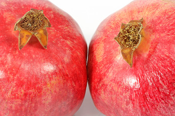 Image showing Pomegranate