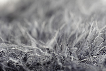 Image showing grey fur