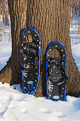 Image showing Snow rackets