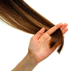 Image showing Pattern of hair