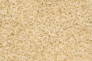 Image showing Rice