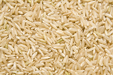 Image showing Rice