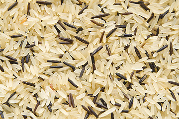 Image showing Rice