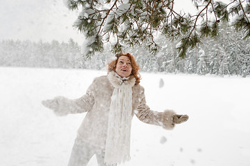 Image showing Winters joy