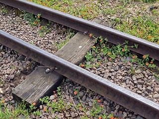 Image showing Miniature railway.