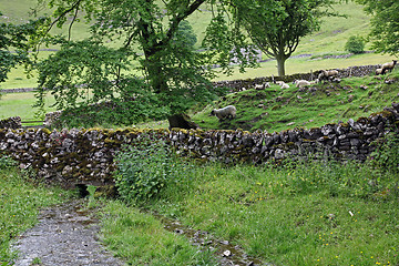 Image showing Dry stone wall in Derbyshire England