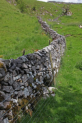 Image showing Dry stone wall in Derbyshire England