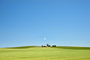 Image showing farm has fields of wheat 