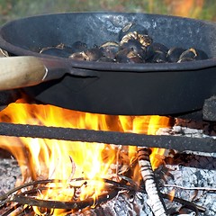 Image showing Barbecue