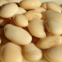 Image showing Beans