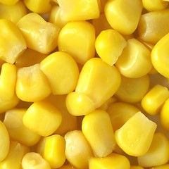 Image showing Maize corn