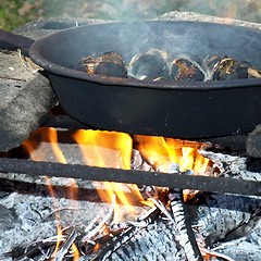 Image showing Barbecue