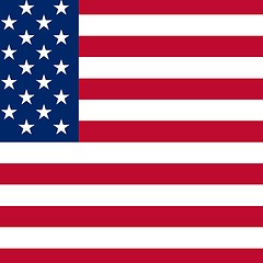 Image showing USA Flag