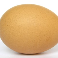 Image showing Egg