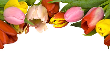 Image showing Beautiful tulips