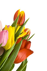 Image showing Beautiful tulips