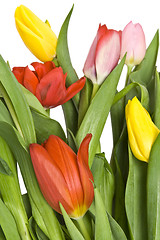 Image showing Beautiful tulips