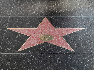 Image showing Hollywood star