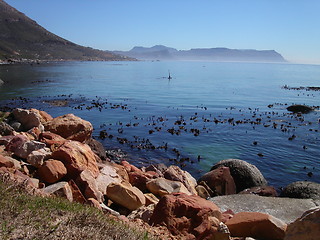 Image showing Miller's Point, Cape Peninsula