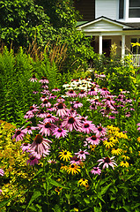 Image showing Residential garden landscaping