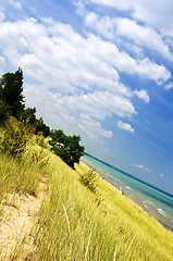 Image showing Sand dunes at beach