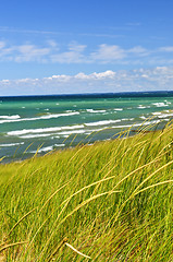 Image showing Sand dunes at beach