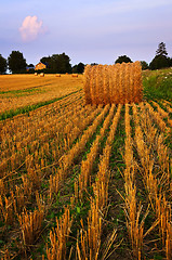 Image showing Farm field at dusk