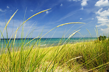 Image showing Sand dunes at beach