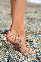 Image showing Foot of a woman on the beach