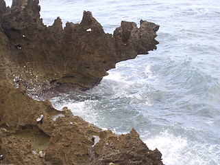 Image showing Wild Ocean