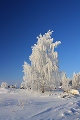 Image showing Winterscape