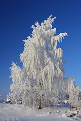 Image showing Winterscape