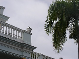 Image showing Palace & Palm Tree