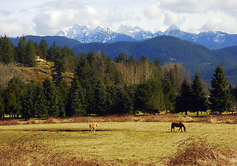 Image showing Rural Country