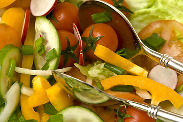 Image showing Salad