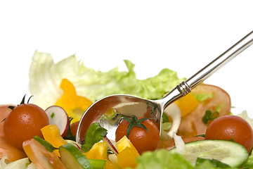 Image showing Salad