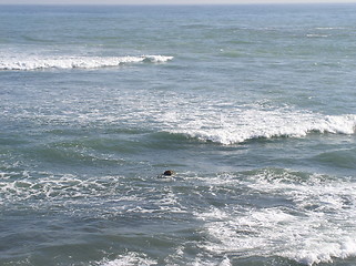 Image showing Ocean