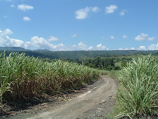 Image showing Road to nowhere