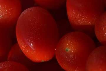 Image showing Baby tomatoes in dim light