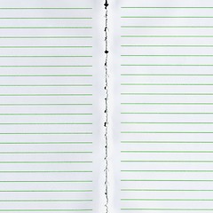 Image showing Blank notebook page